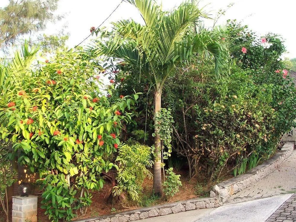 Carana Hilltop Villa Glacis  3*, Glacis (Mahe) Seychelles